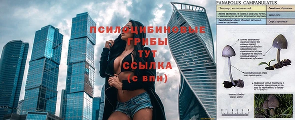 кокаин перу Дмитровск