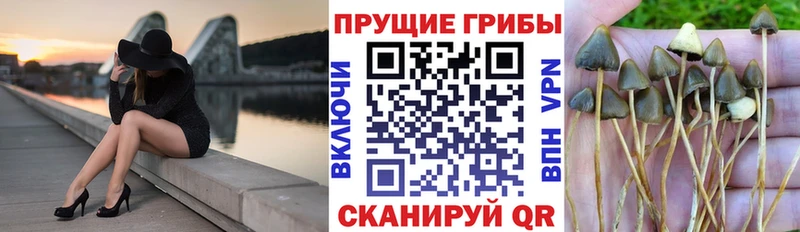 Галлюциногенные грибы Magic Shrooms  Купить закладки  Монино 